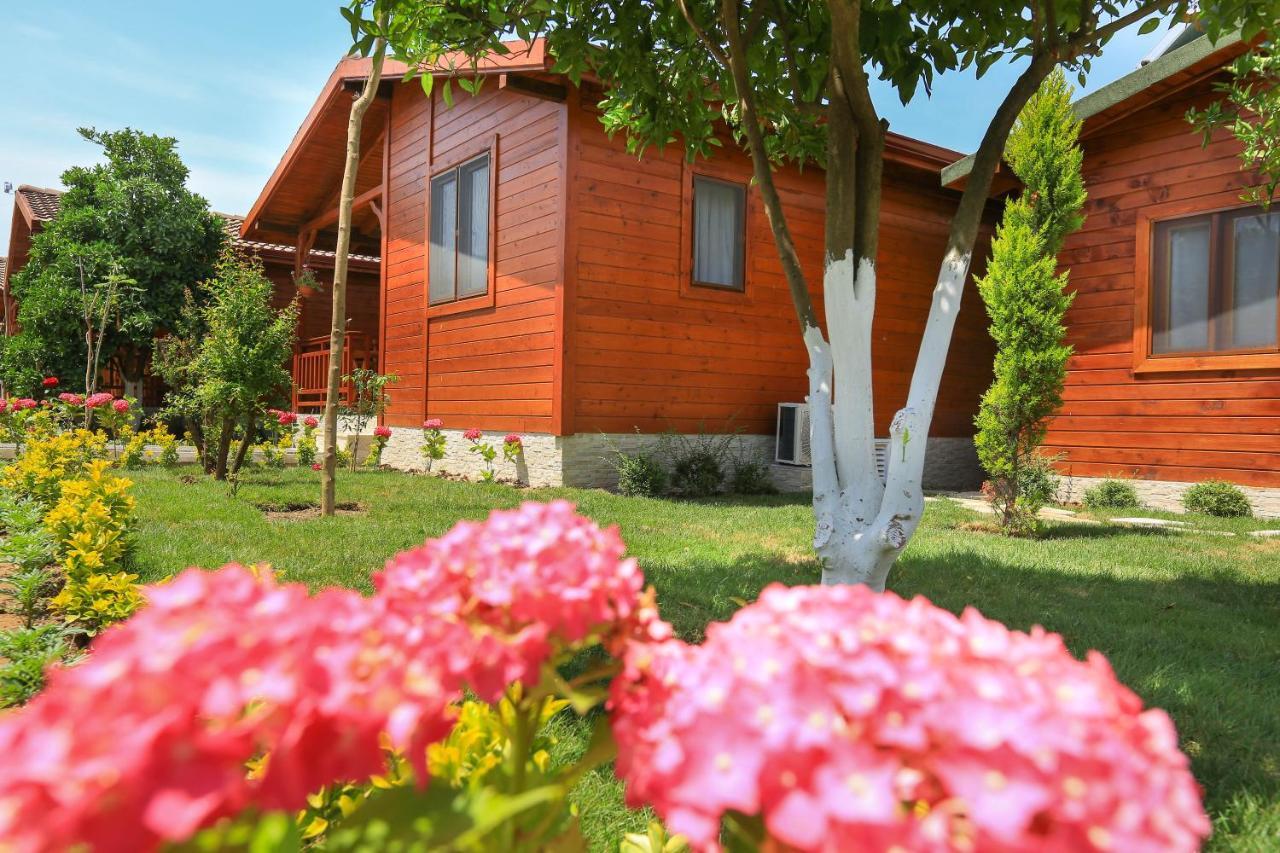 Merry Bungalow & Tent Çıralı Εξωτερικό φωτογραφία