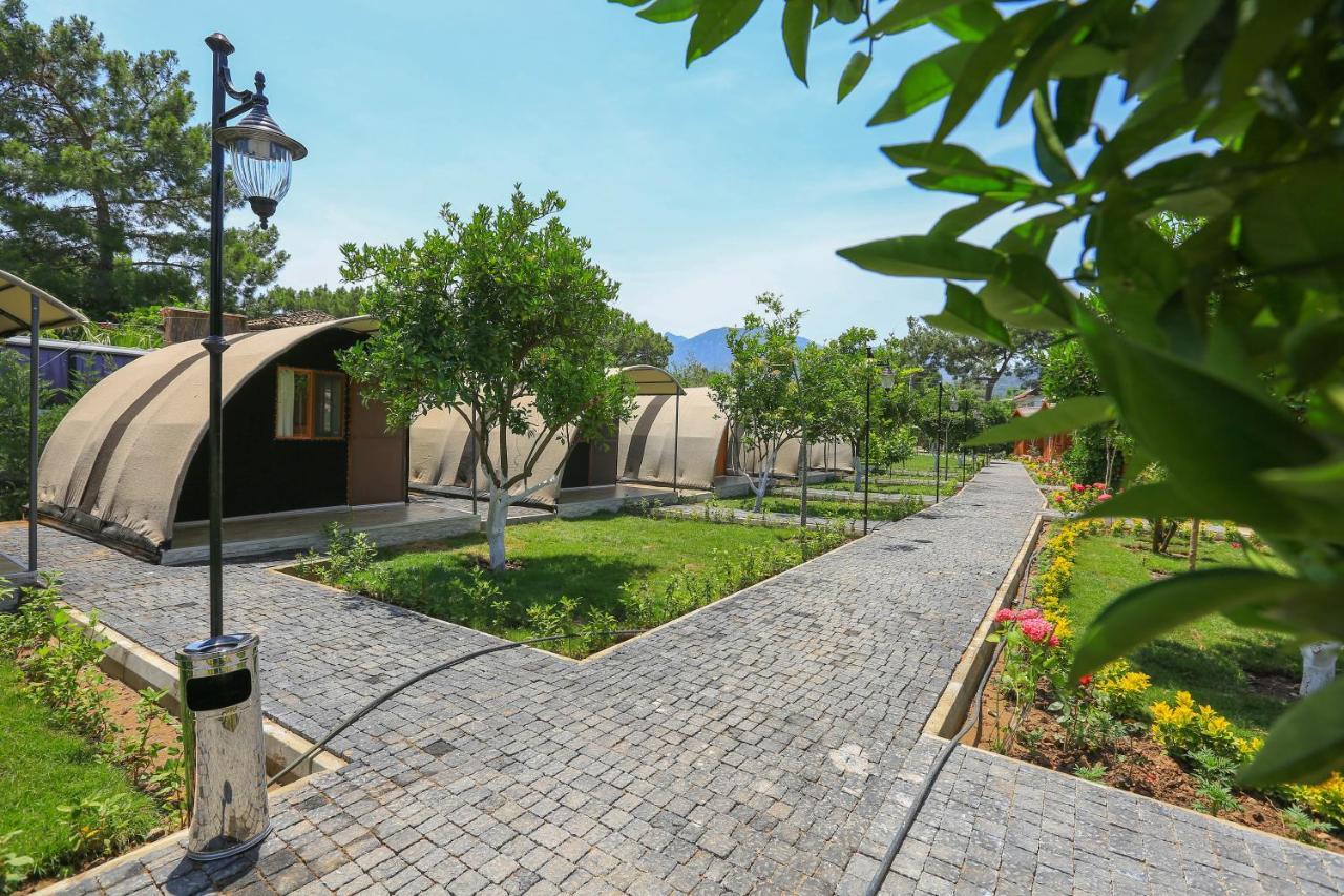 Merry Bungalow & Tent Çıralı Εξωτερικό φωτογραφία