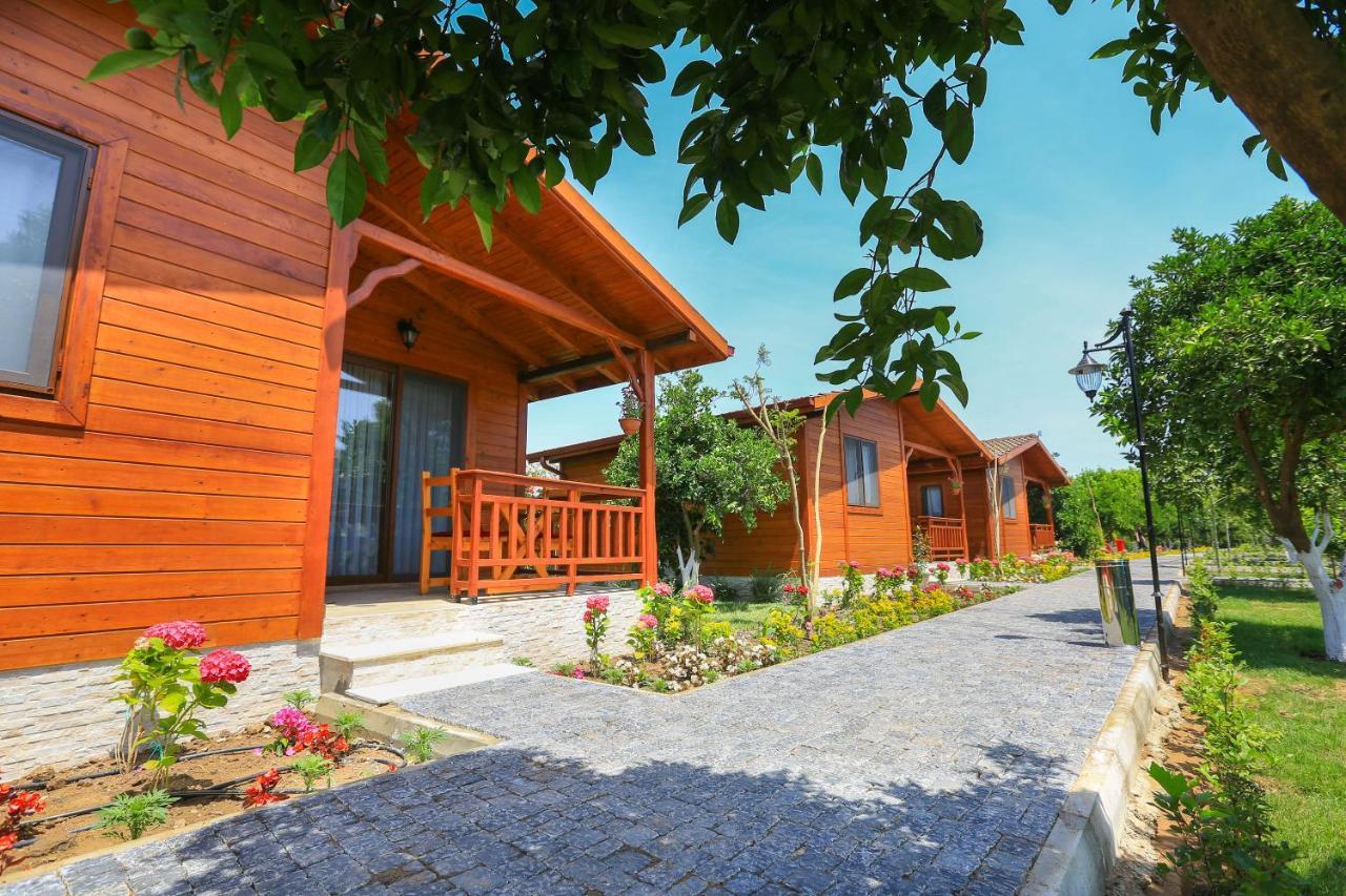Merry Bungalow & Tent Çıralı Εξωτερικό φωτογραφία
